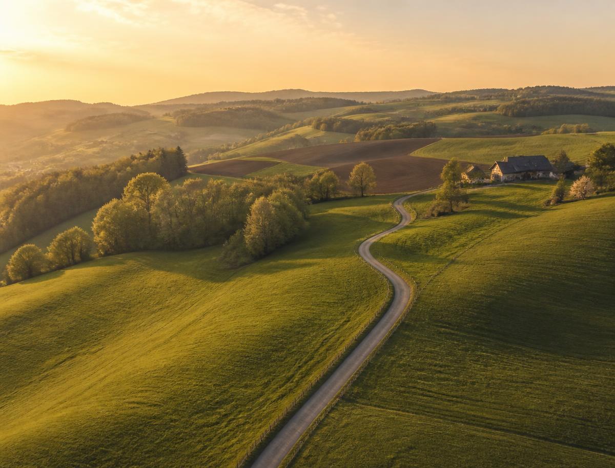 Warm Scandinavian countryside at golden hour with fields, trees and a winding road
